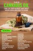 Cannabis Oil.jpg