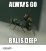 always-go-balls-deep-_beast_-7021715.png