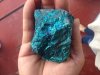 bornite.JPG