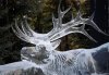 26-ice-sculpture-animal.jpg