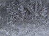 indow-ice-feathers.jpg