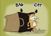 catbag.JPG