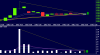 NUH-Intraday Hourly.png