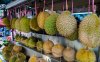 durian-myths-alcohol-cholesterol.jpg